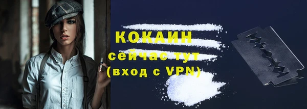 прущий лед Алексин