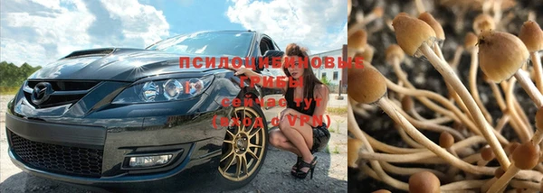 дурь Пестово