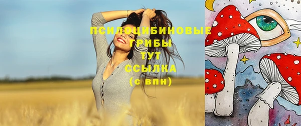 прущий лед Алексин
