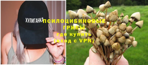 прущий лед Алексин