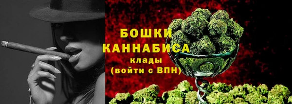 дурь Пестово